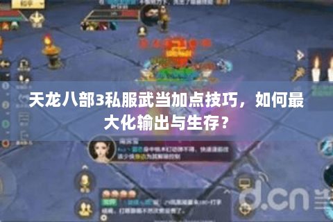 天龙八部3私服武当加点技巧，如何最大化输出与生存？