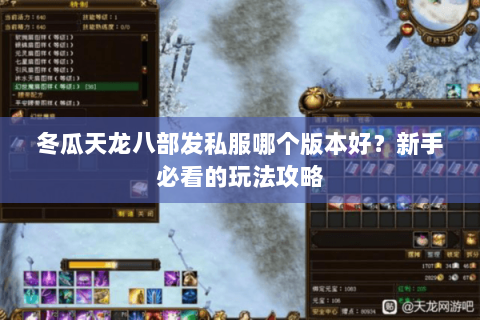 冬瓜天龙八部发私服哪个版本好？新手必看的玩法攻略