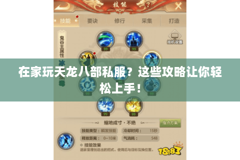 在家玩天龙八部私服？这些攻略让你轻松上手！