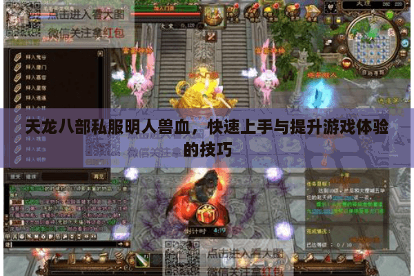 天龙八部私服明人兽血，快速上手与提升游戏体验的技巧