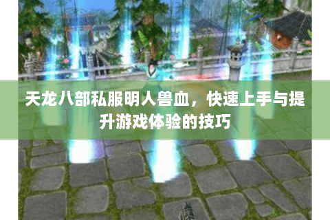 天龙八部私服明人兽血，快速上手与提升游戏体验的技巧