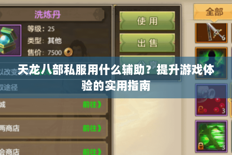 天龙八部私服用什么辅助？提升游戏体验的实用指南