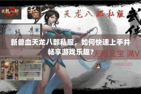 新兽血天龙八部私服，如何快速上手并畅享游戏乐趣？