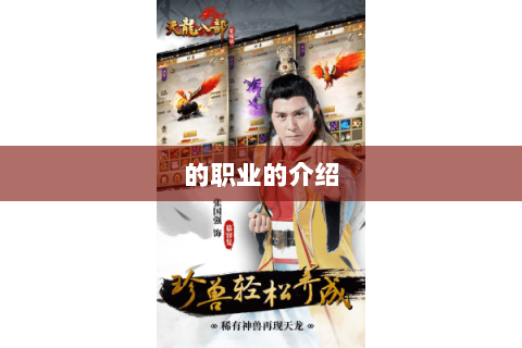 的职业的介绍