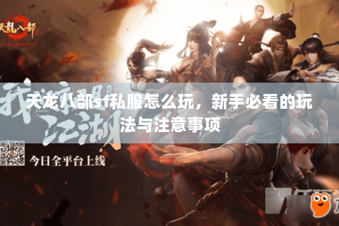 天龙八部sf私服怎么玩，新手必看的玩法与注意事项