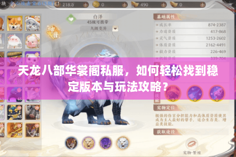 天龙八部华裳阁私服，如何轻松找到稳定版本与玩法攻略？