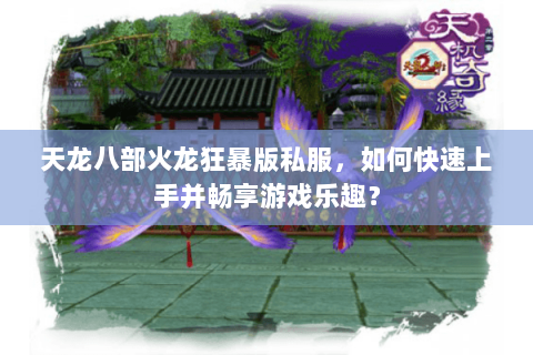 天龙八部火龙狂暴版私服，如何快速上手并畅享游戏乐趣？
