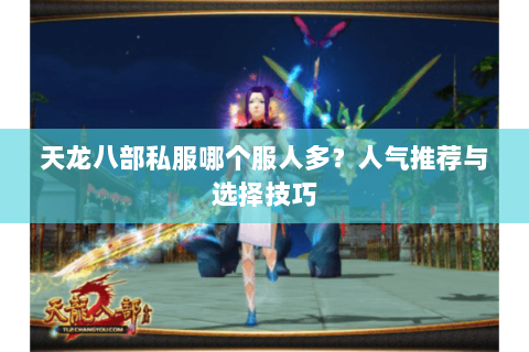 天龙八部私服哪个服人多？人气推荐与选择技巧