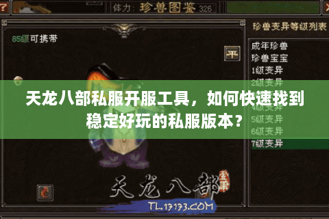 天龙八部私服开服工具，如何快速找到稳定好玩的私服版本？