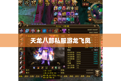 天龙八部私服游龙飞凤