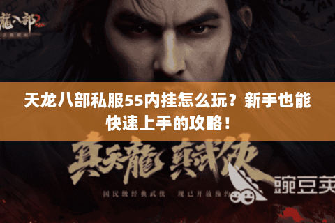 天龙八部私服55内挂怎么玩？新手也能快速上手的攻略！