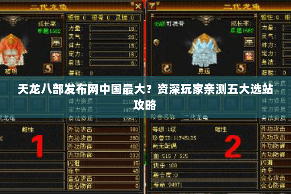 天龙八部发布网中国最大？资深玩家亲测五大选站攻略