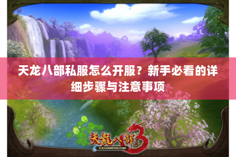 天龙八部私服怎么开服？新手必看的详细步骤与注意事项