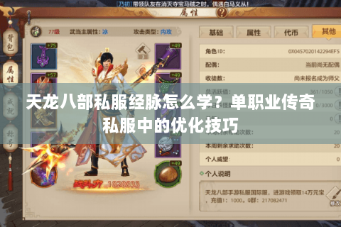 天龙八部私服经脉怎么学？单职业传奇私服中的优化技巧