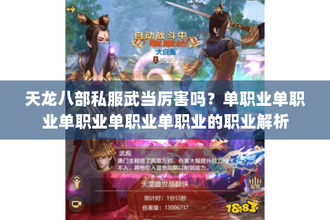 天龙八部私服武当厉害吗？单职业单职业单职业单职业单职业的职业解析