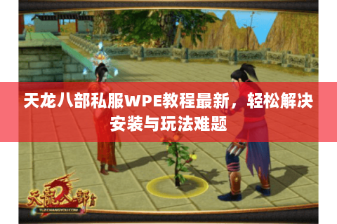 天龙八部私服WPE教程最新，轻松解决安装与玩法难题