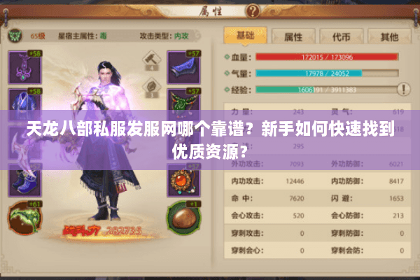 天龙八部私服发服网哪个靠谱？新手如何快速找到优质资源？