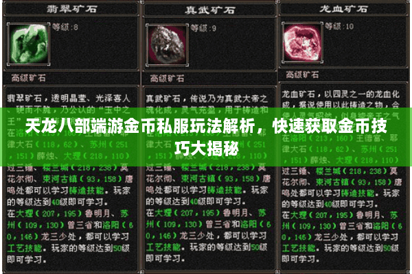 天龙八部端游金币私服玩法解析，快速获取金币技巧大揭秘