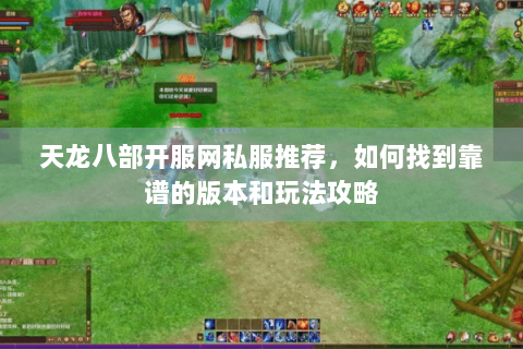 天龙八部开服网私服推荐，如何找到靠谱的版本和玩法攻略