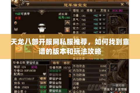 天龙八部开服网私服推荐，如何找到靠谱的版本和玩法攻略