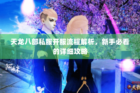 天龙八部私服开服流程解析，新手必看的详细攻略