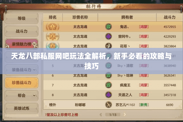天龙八部私服网吧玩法全解析，新手必看的攻略与技巧