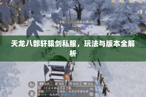 天龙八部轩辕剑私服，玩法与版本全解析