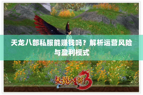 天龙八部私服能赚钱吗？解析运营风险与盈利模式