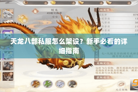 天龙八部私服怎么架设？新手必看的详细指南