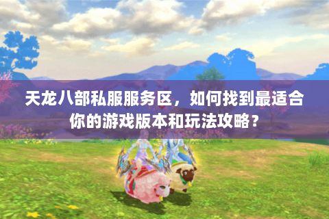 天龙八部私服服务区，如何找到最适合你的游戏版本和玩法攻略？