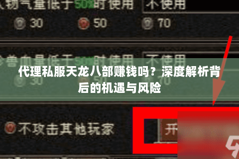 代理私服天龙八部赚钱吗？深度解析背后的机遇与风险