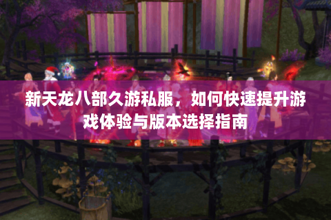 新天龙八部久游私服，如何快速提升游戏体验与版本选择指南