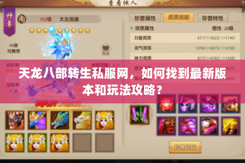 天龙八部转生私服网，如何找到最新版本和玩法攻略？