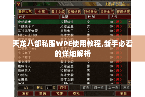 天龙八部私服WPE使用教程,新手必看的详细解析