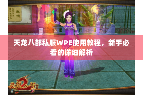 天龙八部私服WPE使用教程，新手必看的详细解析