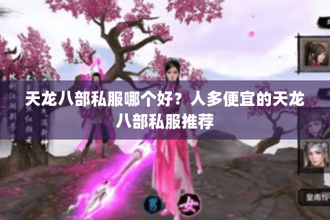 天龙八部私服哪个好？人多便宜的天龙八部私服推荐