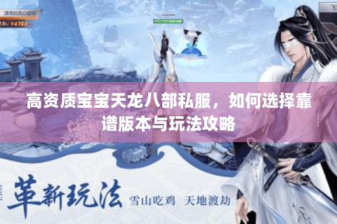 高资质宝宝天龙八部私服，如何选择靠谱版本与玩法攻略