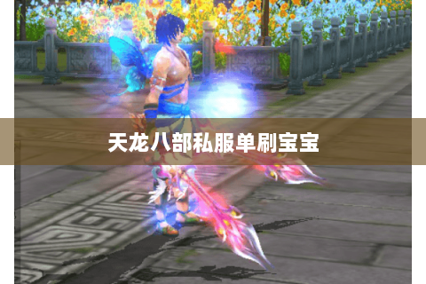 天龙八部私服单刷宝宝