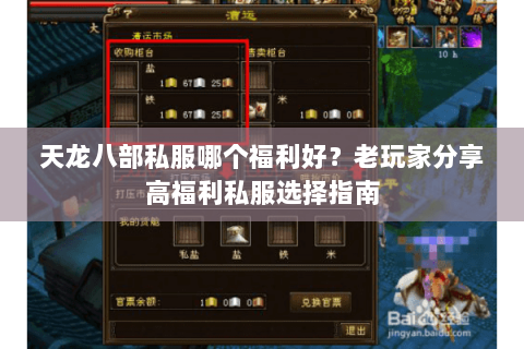 天龙八部私服哪个福利好？老玩家分享高福利私服选择指南