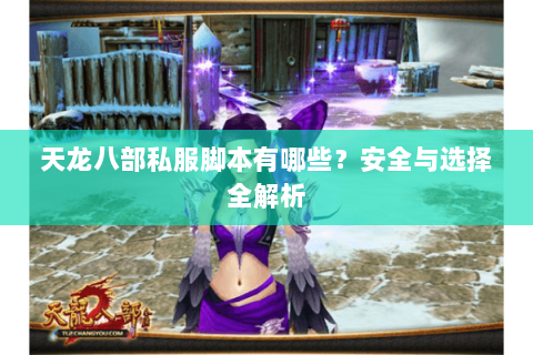 天龙八部私服脚本有哪些？安全与选择全解析