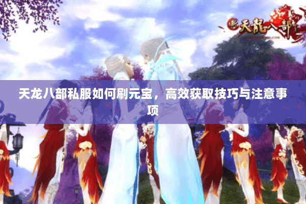 天龙八部私服如何刷元宝，高效获取技巧与注意事项