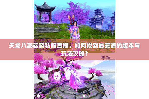 天龙八部端游私服直播，如何找到最靠谱的版本与玩法攻略？