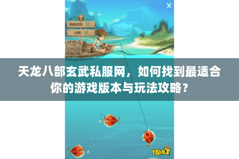 天龙八部玄武私服网，如何找到最适合你的游戏版本与玩法攻略？