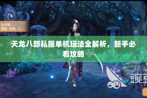 天龙八部私服单机玩法全解析，新手必看攻略