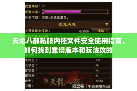 天龙八部私服内挂文件安全使用指南，如何找到靠谱版本和玩法攻略