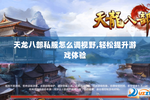 天龙八部私服怎么调视野，轻松提升游戏体验