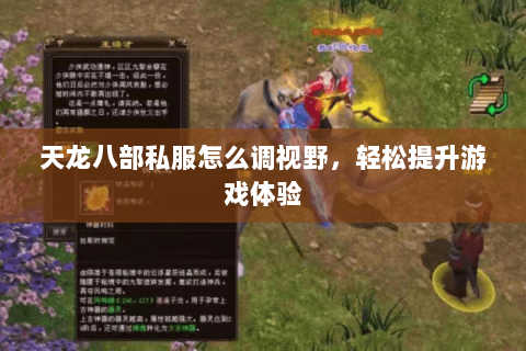 天龙八部私服怎么调视野，轻松提升游戏体验