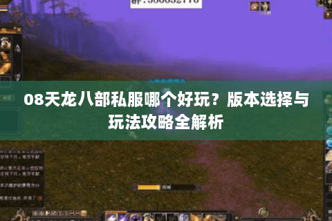 08天龙八部私服哪个好玩？版本选择与玩法攻略全解析