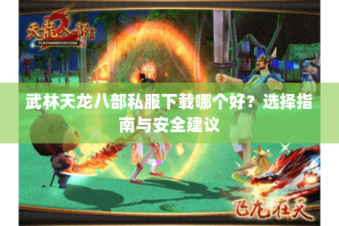 武林天龙八部私服下载哪个好？选择指南与安全建议