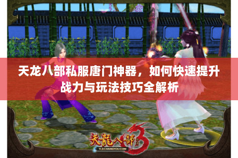天龙八部私服唐门神器，如何快速提升战力与玩法技巧全解析